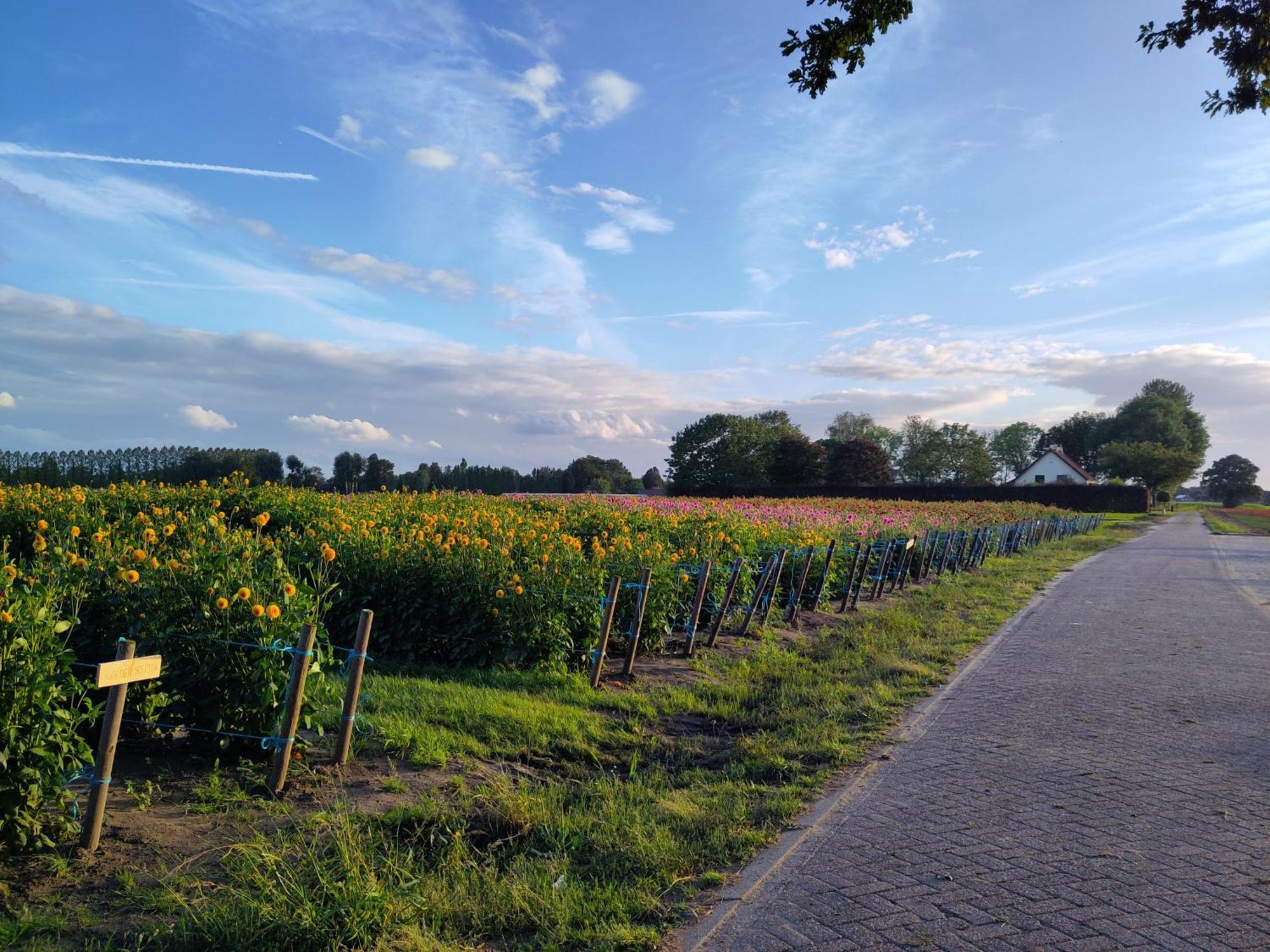 'T Voske Bed & Breakfast Zundert Bagian luar foto