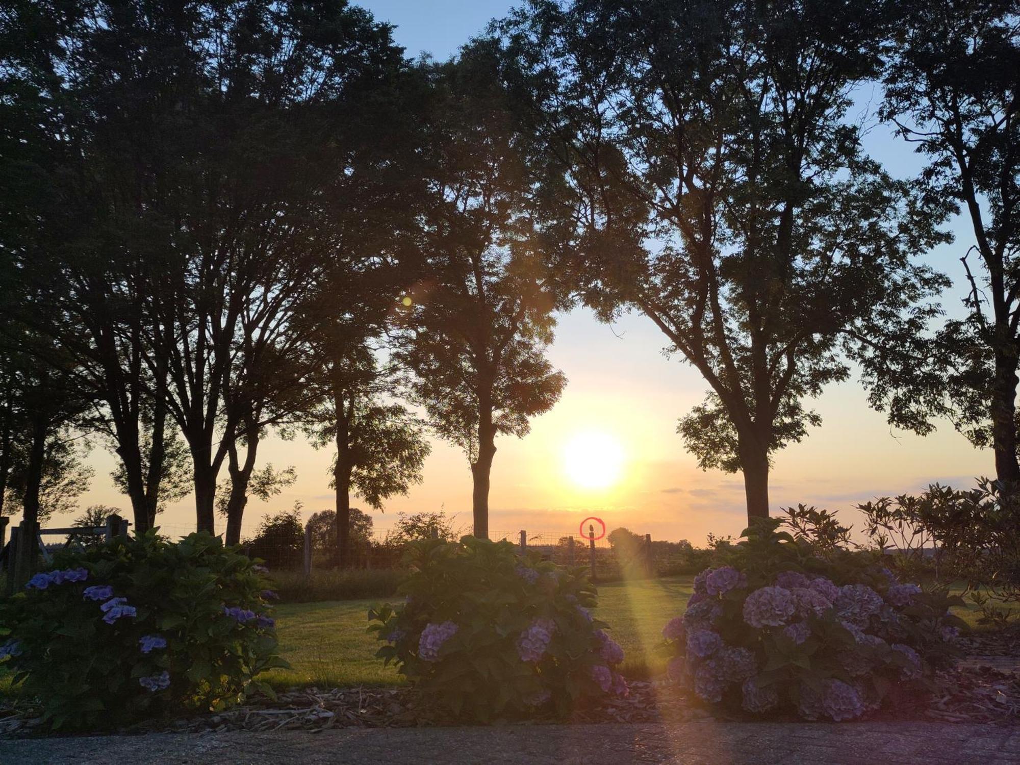 'T Voske Bed & Breakfast Zundert Bagian luar foto